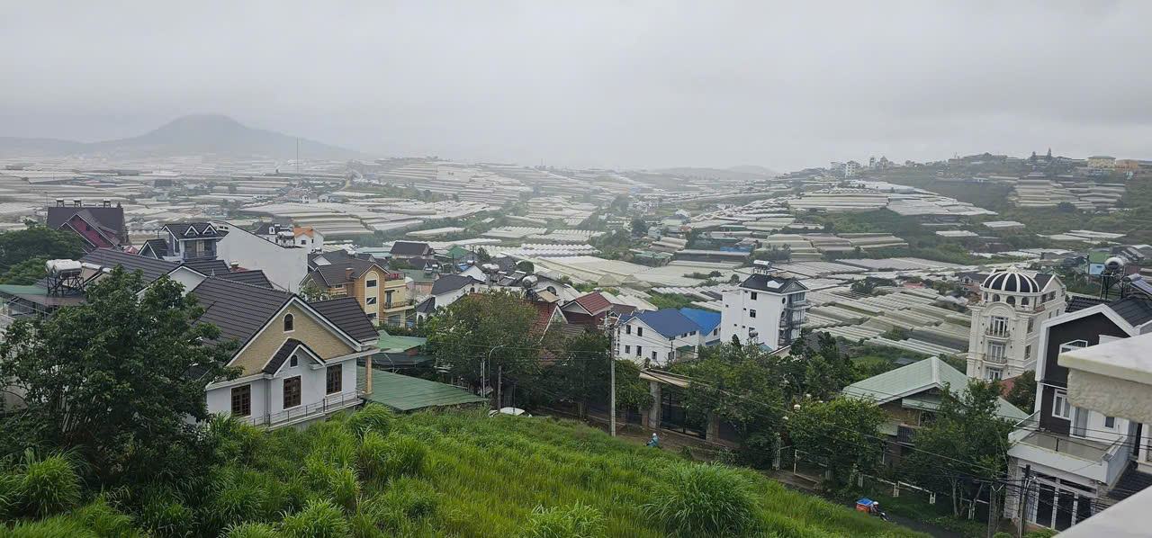 Sương sớm trên thung lũng nhà kính, đồi thông xanh nhìn từ villa